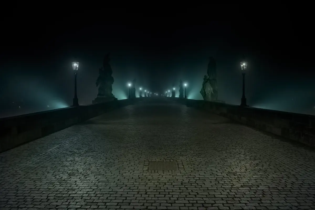 Night view of Charles Bridge with statues silhouettes